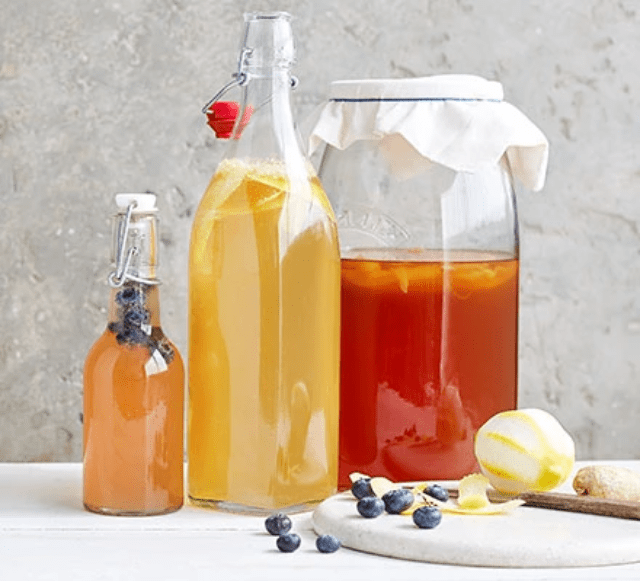 kombucha, bebida